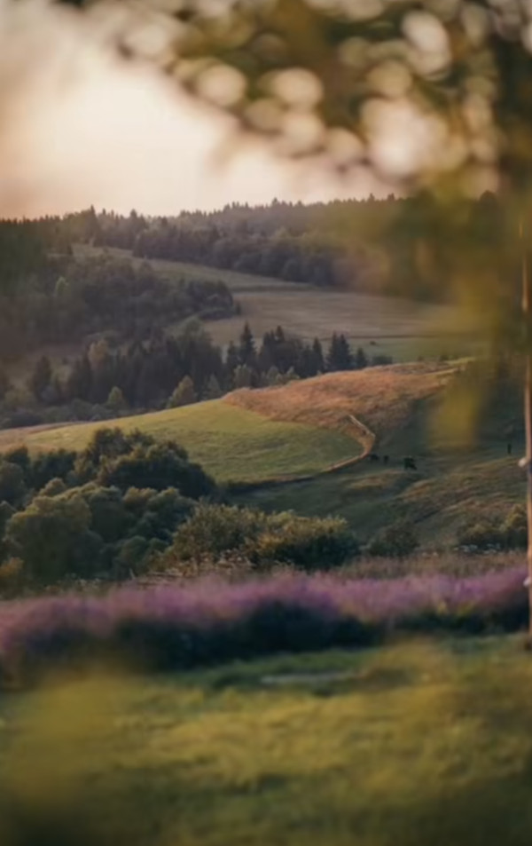 The Provence village | lviv.travel