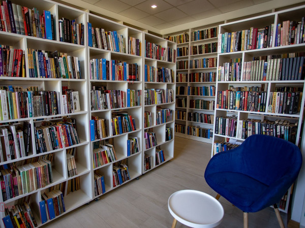 a library with shelves of books