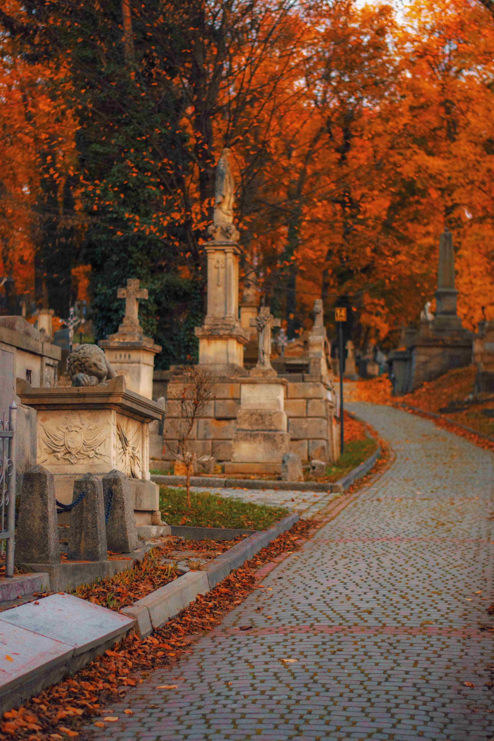 Личаківське кладовище