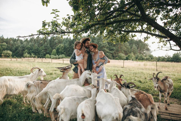 Cozy Farm | lviv.travel Козина ферма. Сироварні біля Львова