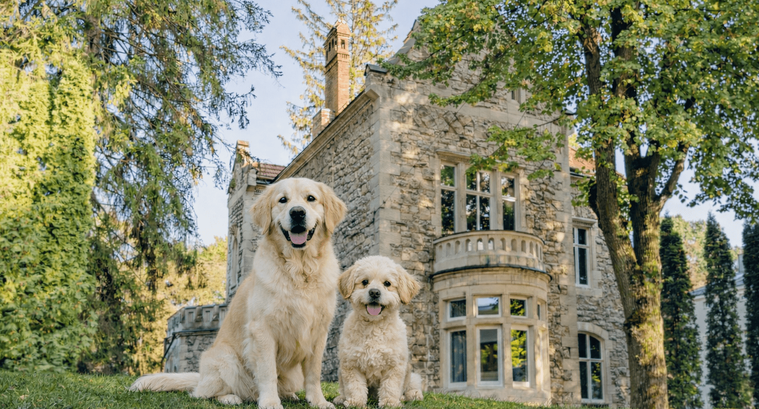 Ми зібрали підбірку pet-friendly готелів у Львові, де комфортно не лише гостям, а й їхнім улюбленцям. У цих локаціях дозволяють проживання з тваринами, а деякі навіть пропонують додаткові сервіси